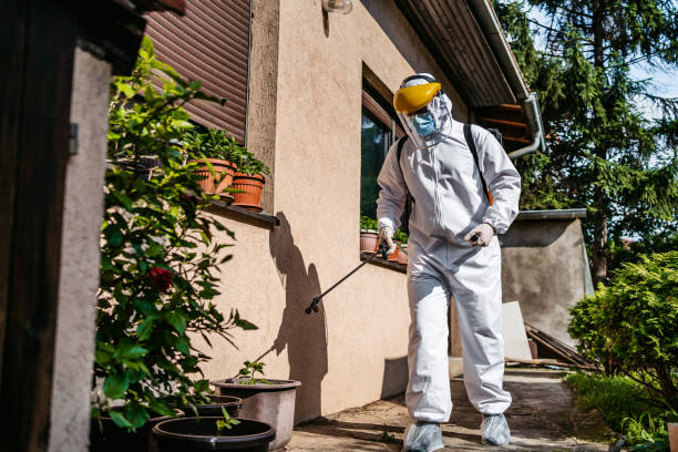 Best Pest Inspection Near Me  in Davisboro, GA