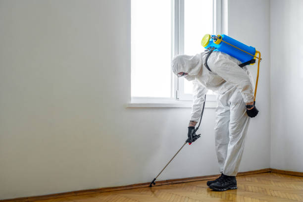 Best Residential Pest Control  in Davisboro, GA